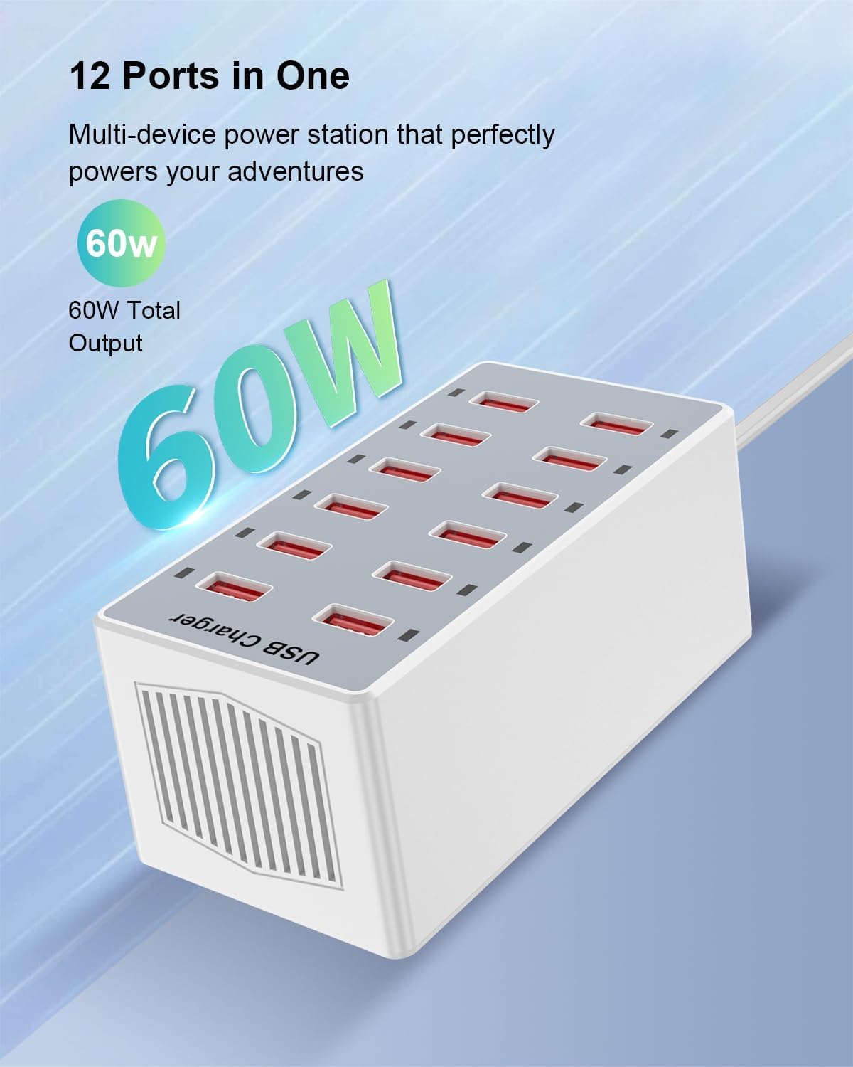 USB Charger 12-Ports Charging Station for Multiple Devices USB Wall Charger Power Hub Strip Smart Plug Charging Dock Block for iPhone Xs/XR,iPad,iPod,Galaxy S9/S8,Smart Phones 60W - Image 2